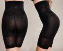 Graceful Waist and Hip Molding Briefs