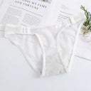Elegant Breathable Mesh Briefs for the Modern Woman